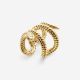 Earcuff Ben Slang Verguld